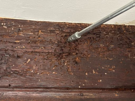 Befallener Holzbalken